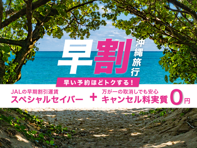 JALで行く！早期割引 沖縄ツアーイメージ
