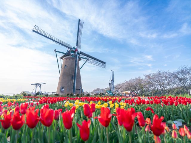 4月の見どころは･･･イメージ