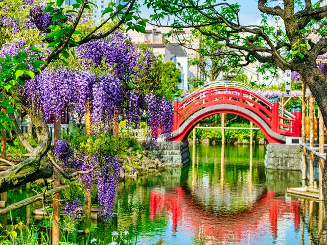 4月のイベントは･･･イメージ