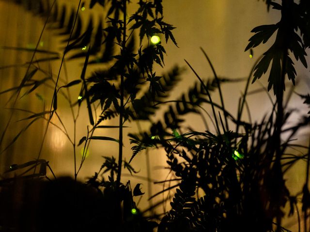 6月のイベントは･･･イメージ