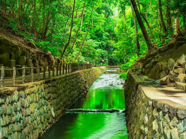 7月の見どころは･･･イメージ