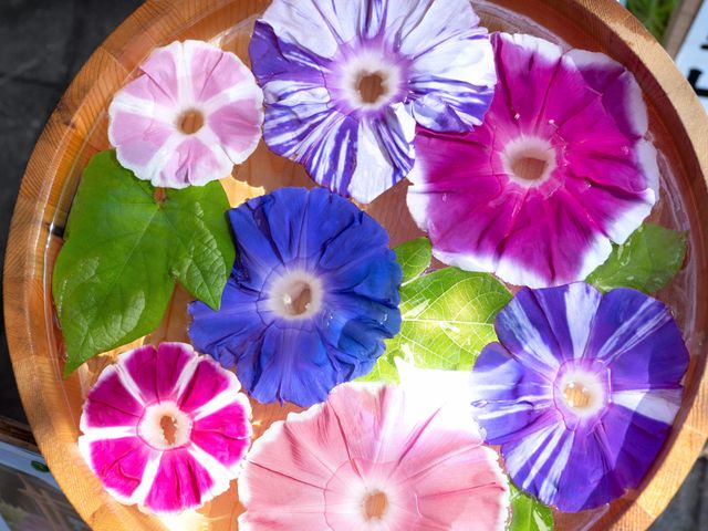 7月のイベントは･･･イメージ