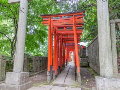 根津神社の千本鳥居（東京）