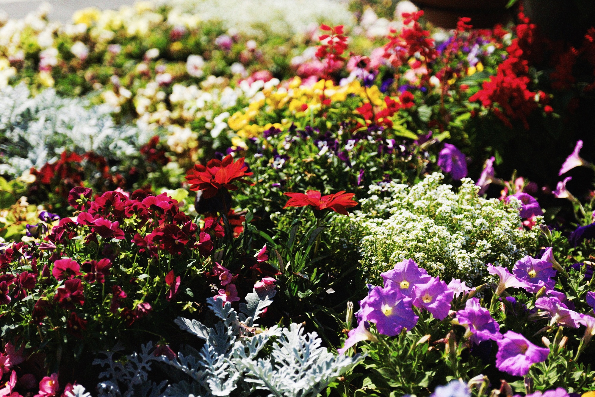 おすすめツアー