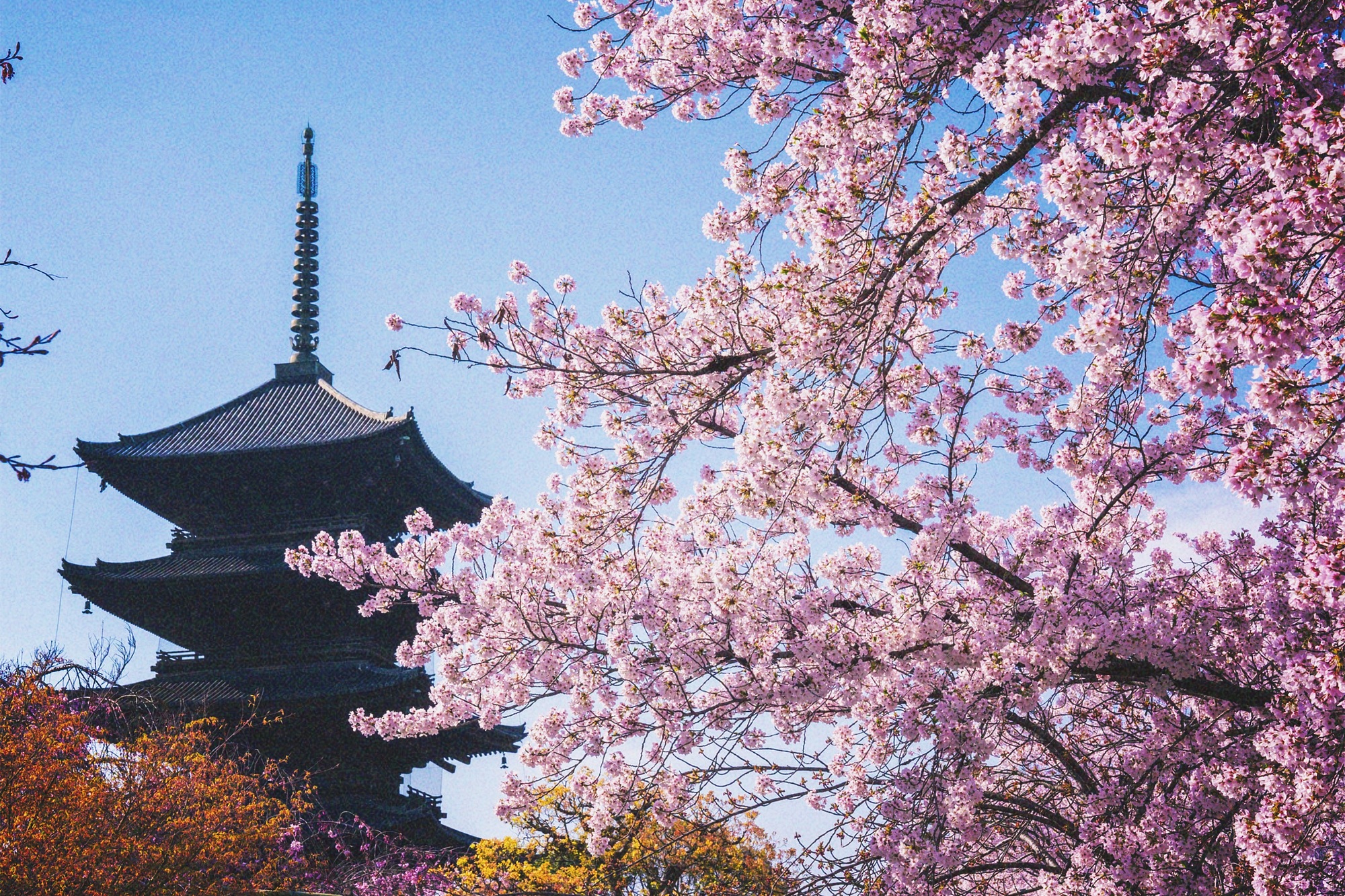 おすすめツアー