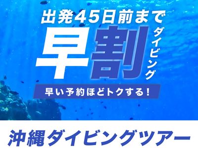 JALで行く！早期割引 ダイビングツアーイメージ