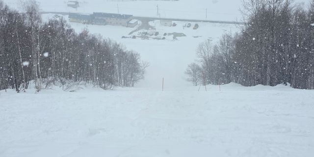 おすすめツアー