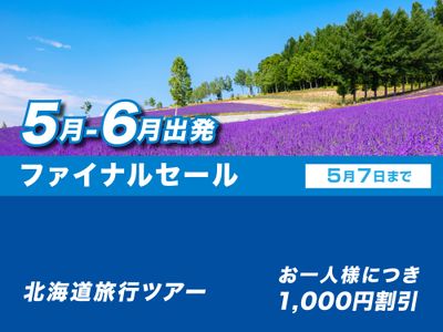 セールイメージ