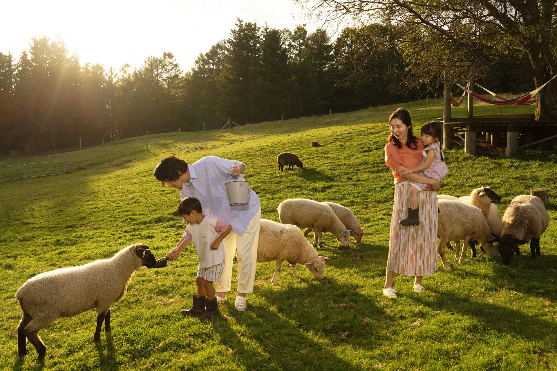 イブニングファーム