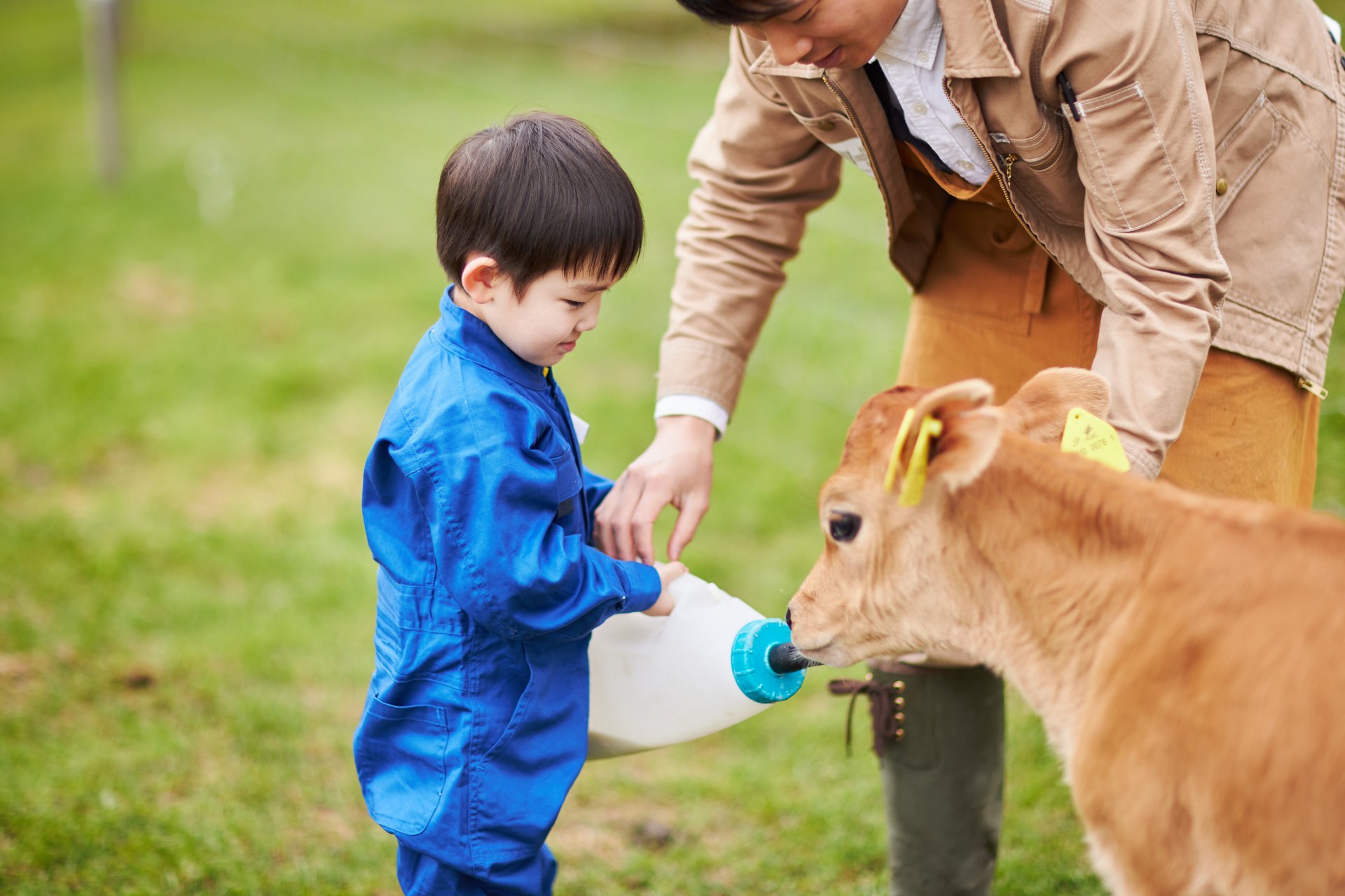 お仕事体験酪農家編