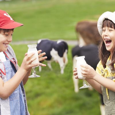 トマム＆最終泊道内ホテル選択イメージ