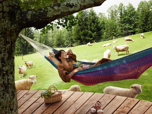 ファームエリアイメージ