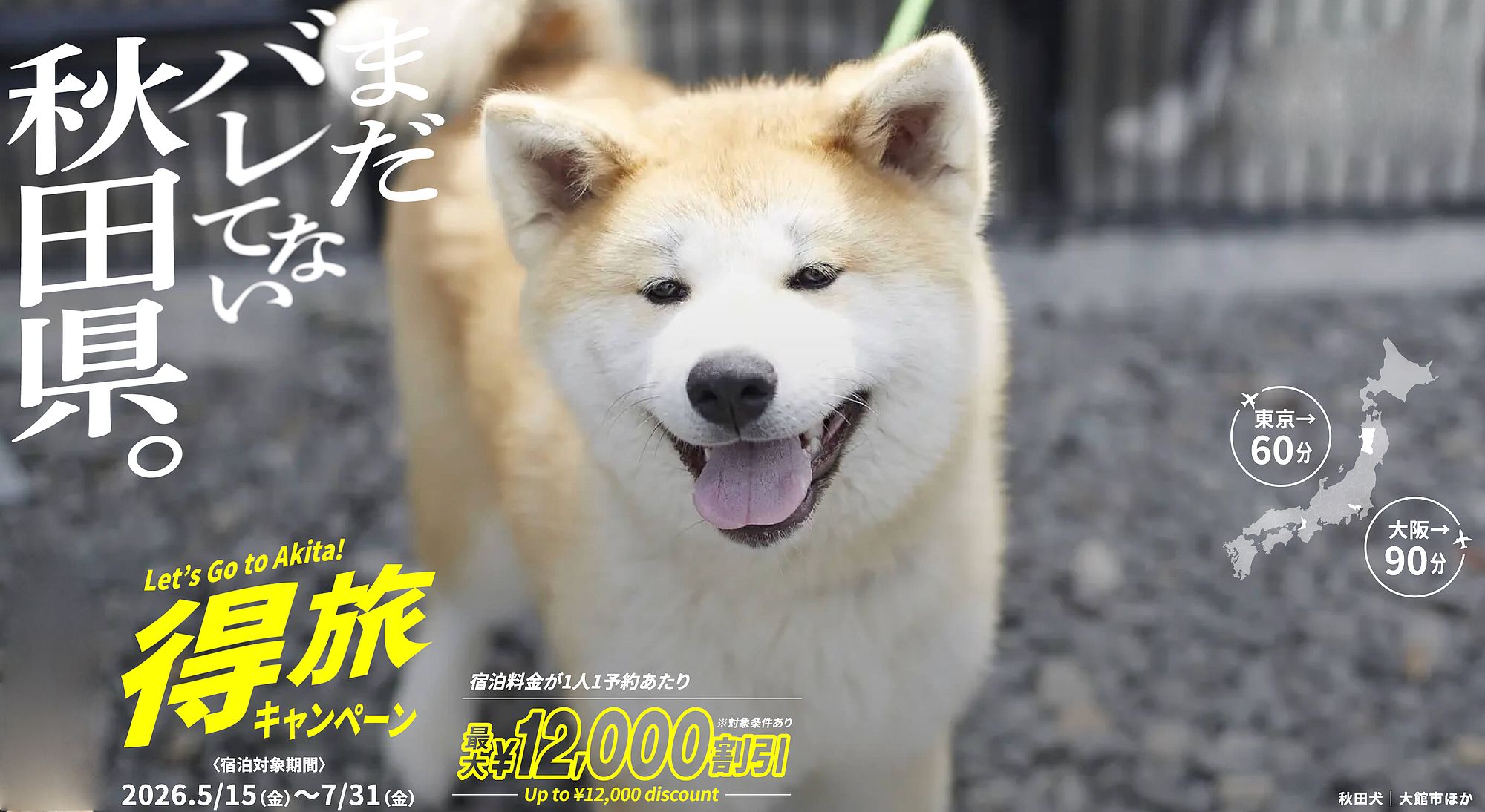 おすすめツアー