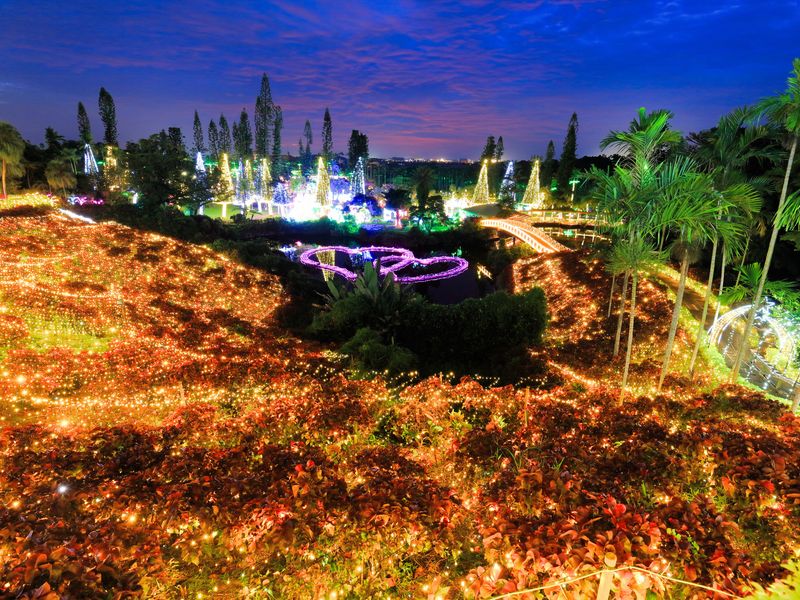 東南植物楽園イルミネーションイメージ