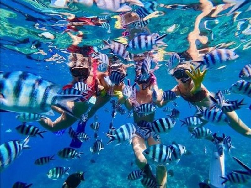 第11位：ジンベエザメ・シュノーケル 5歳から参加OK！GoPro写真＆動画無料