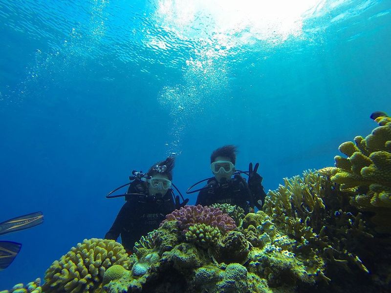 第19位：水納島体験ダイビング＋パラセーリング 海上と海中で水納島の絶景を満喫