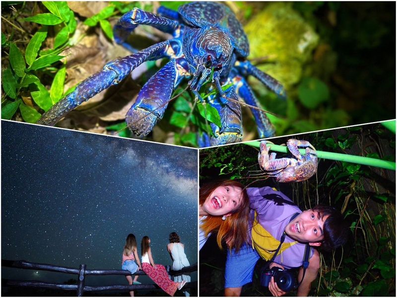 星空鑑賞＆ナイトツアー 星空保護区認定エリア八重山の天体ショーとジャングルナイトツアー！＜石垣島＞