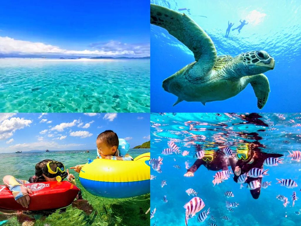 【送迎無料】幻の島＋青の洞窟＋高遭遇率ウミガメシュノーケリング