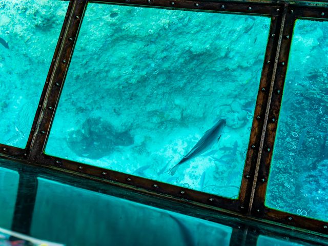 川平湾のグラスボート