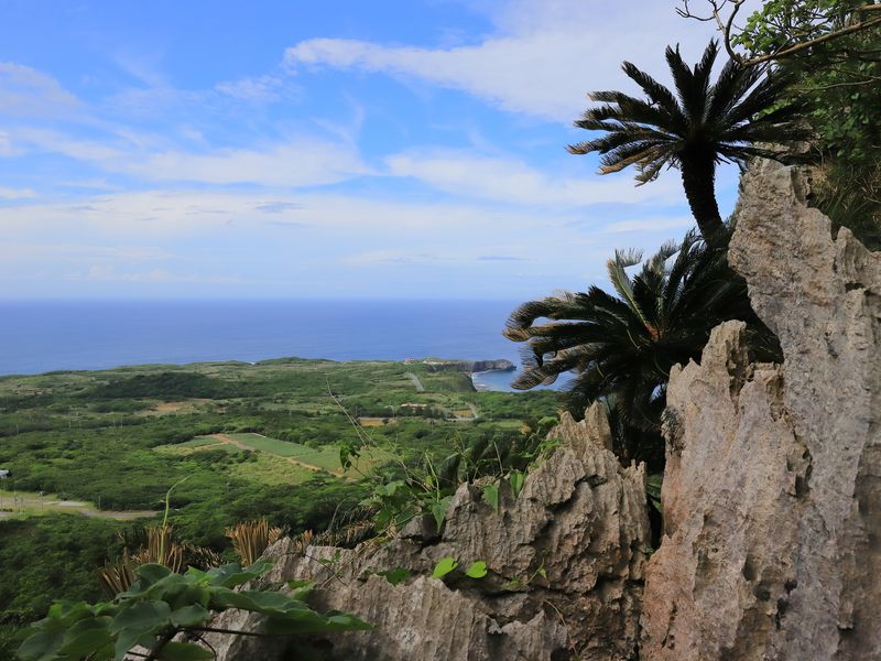 大石林山の岩肌