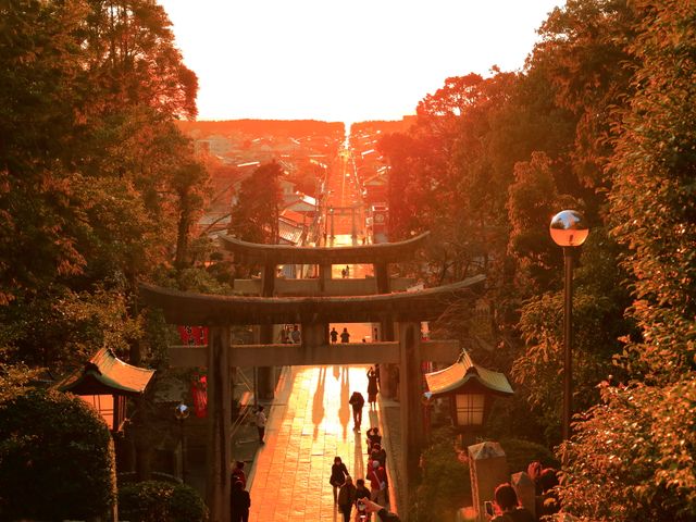 《2月とにかく安く行きたい》九州旅行フリープランイメージ