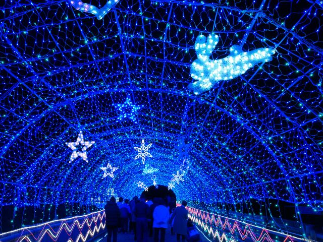 12月の中国エリアは･･･イメージ