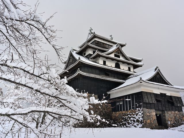 2月の中国エリアは･･･イメージ
