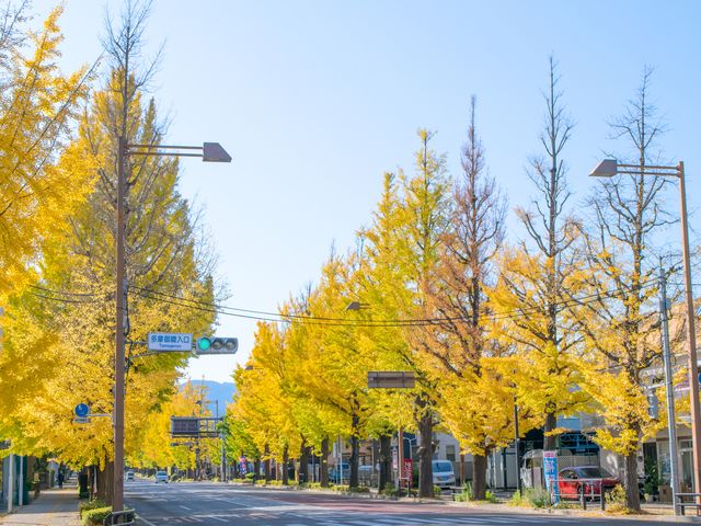 11月のイベントは･･･イメージ
