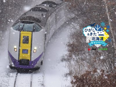 JAL×JR北海道キャンペーン｜特急乗り放題パス付で巡る冬の周遊ツアーイメージ