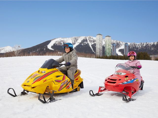 雪原を走る、犬と滑る、そりで遊ぶイメージ