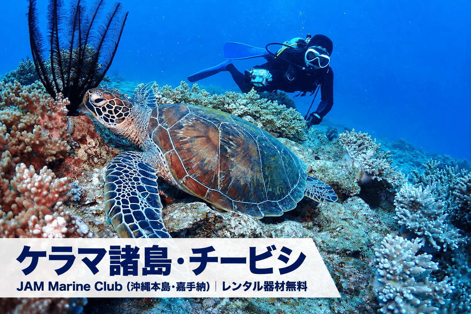 ケラマ諸島・チービシのウミガメとダイバー。JAM Marine Club（沖縄本島・嘉手納）、レンタル器材無料