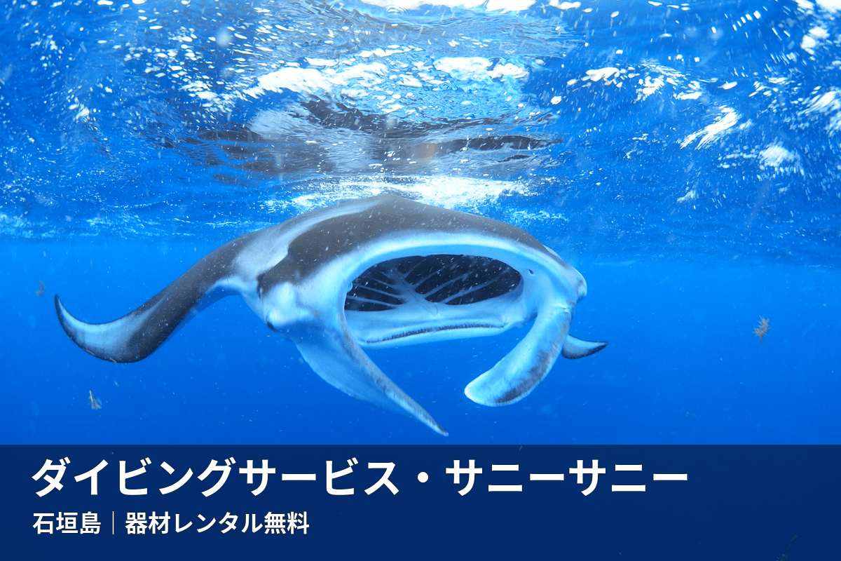 石垣島の海を泳ぐマンタ。ダイビングサービス・サニーサニー