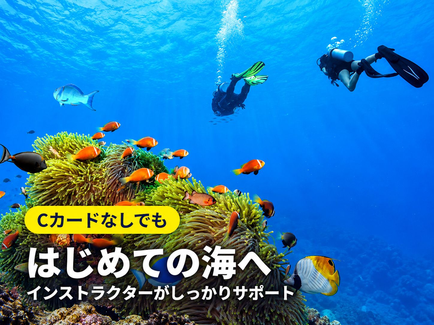 Cカードなしでも はじめての海へ 沖縄体験ダイビング