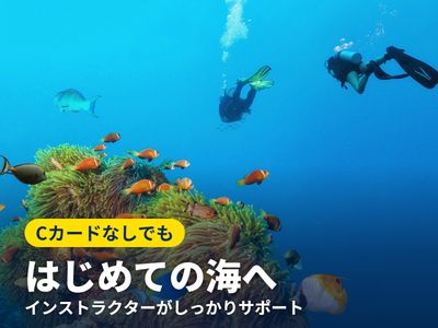 沖縄体験ダイビングイメージ