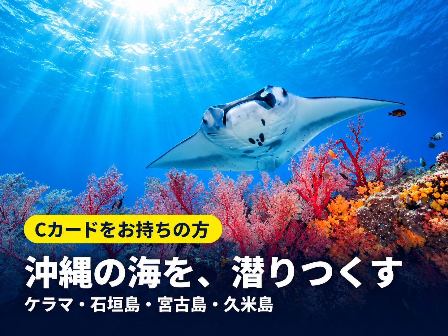 Cカードをお持ちの方 沖縄の海を、潜りつくす ファンダイビング
