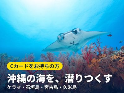 ファンダイビングイメージ